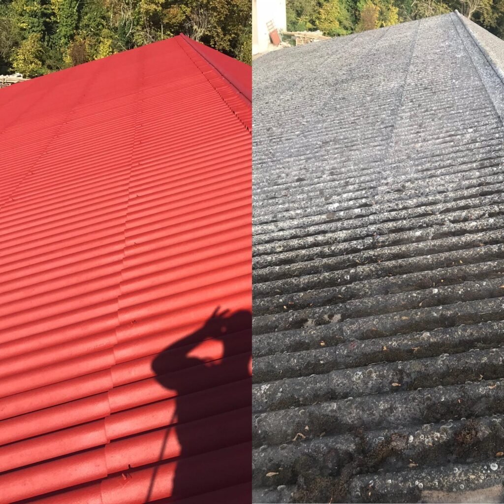 Demoussage & hydrofuge colorée